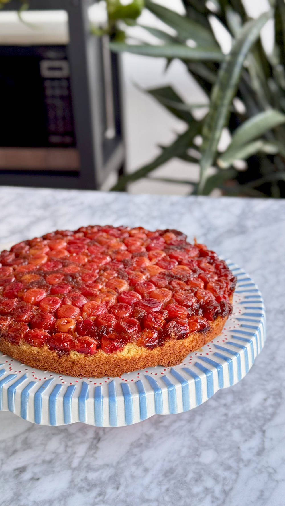 طرز تهیه کیک آلبالو وارونه