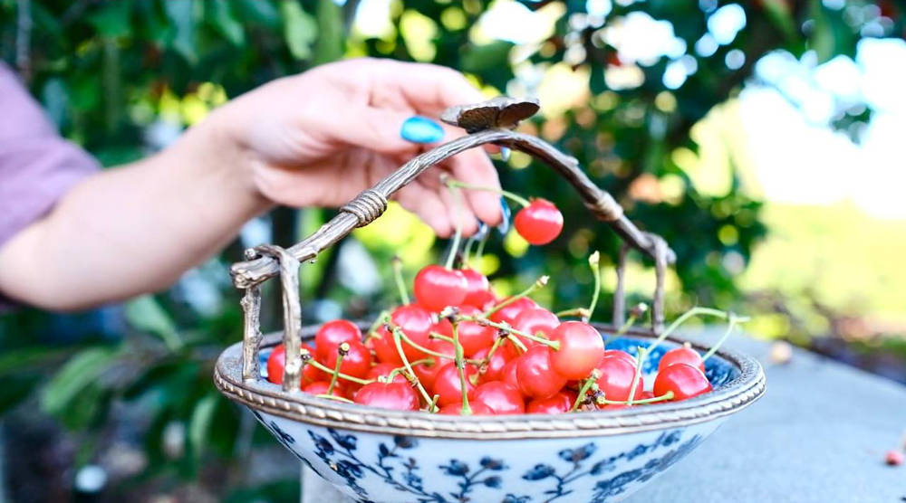 طرز تهیه کیک آلبالو وارونه