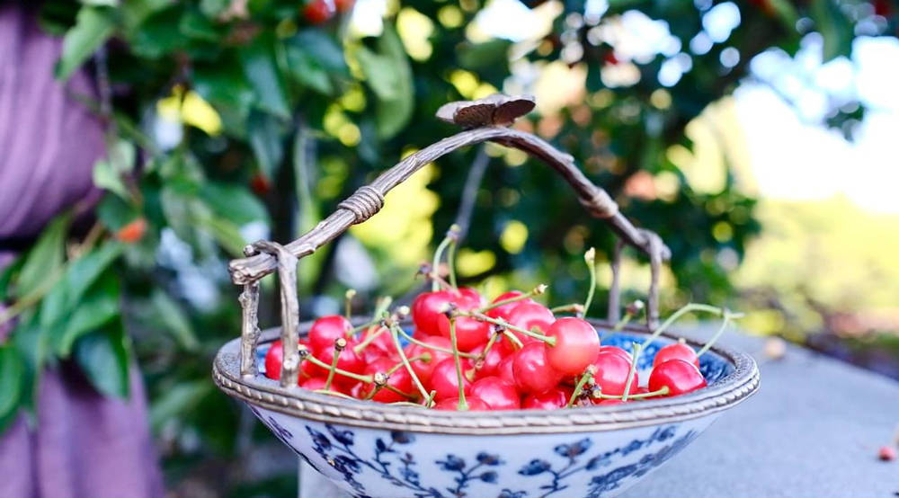 طرز تهیه کیک آلبالو وارونه